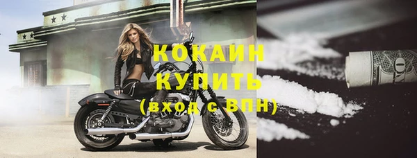 прущие грибы Абаза