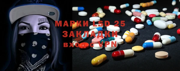 прущие грибы Абаза