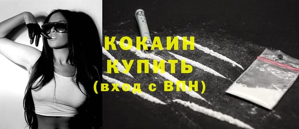 прущие грибы Абаза
