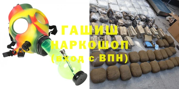 прущие грибы Абаза